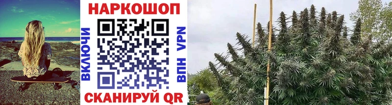 Купить наркотик Северск ГАШИШ  Кодеин  COCAIN  АМФ  Конопля  Мефедрон  СОЛЬ 