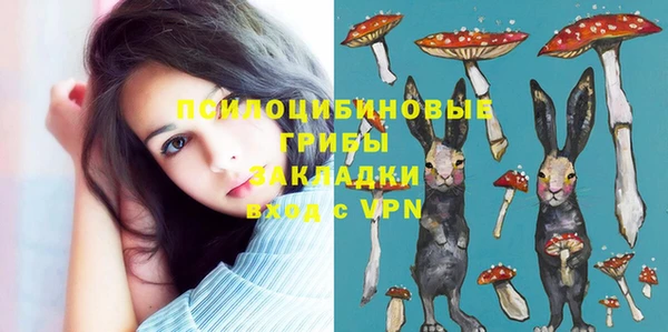 герыч Домодедово