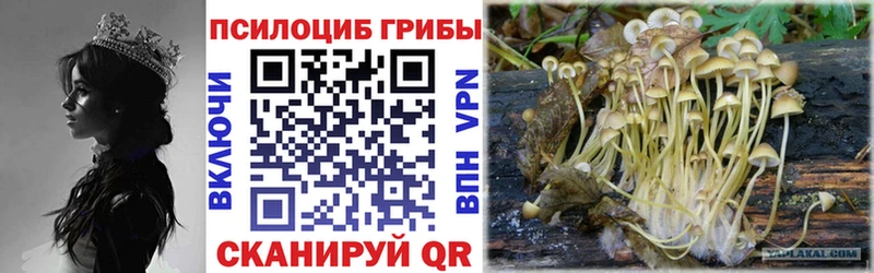 Псилоцибиновые грибы мухоморы  где купить наркотик  kraken ТОР  Северск 