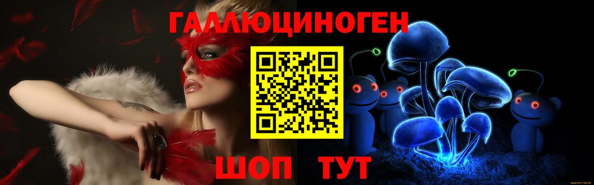 Псилоцибиновые грибы GOLDEN TEACHER  Вход с VPN  Северск 